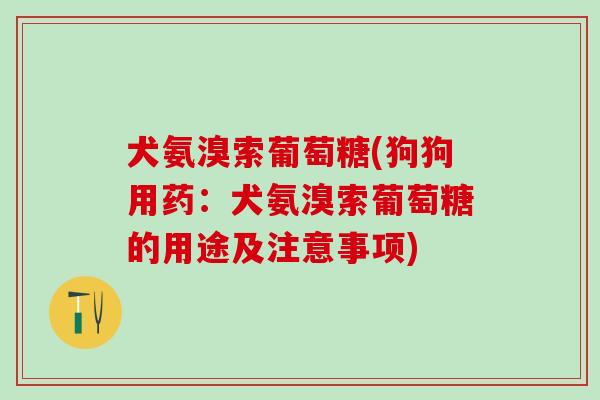 犬氨溴索葡萄糖(狗狗用药：犬氨溴索葡萄糖的用途及注意事项)
