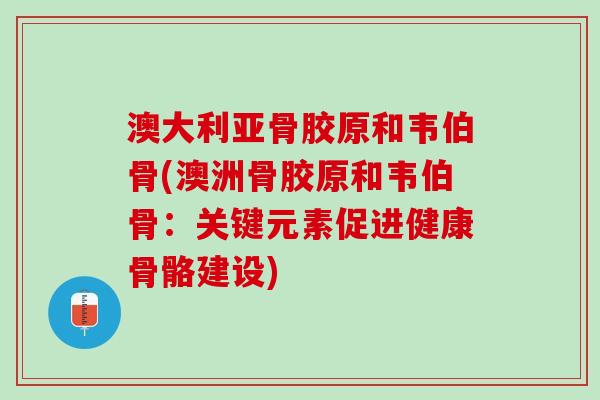 澳大利亚骨胶原和韦伯骨(澳洲骨胶原和韦伯骨:关键元素促进健康骨骼建设) 澳大利亚骨胶原和韦伯骨(澳洲骨胶原和韦伯骨:关键元素促进健康骨骼建设)