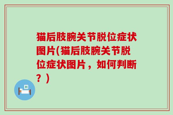猫后肢腕关节脱位症状图片(猫后肢腕关节脱位症状图片，如何判断？)