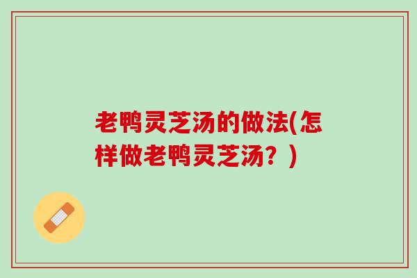 老鸭灵芝汤的做法(怎样做老鸭灵芝汤？)