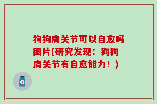 狗狗肩关节可以自愈吗图片(研究发现：狗狗肩关节有自愈能力！)