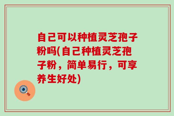 自己可以种植灵芝孢子粉吗(自己种植灵芝孢子粉，简单易行，可享养生好处)