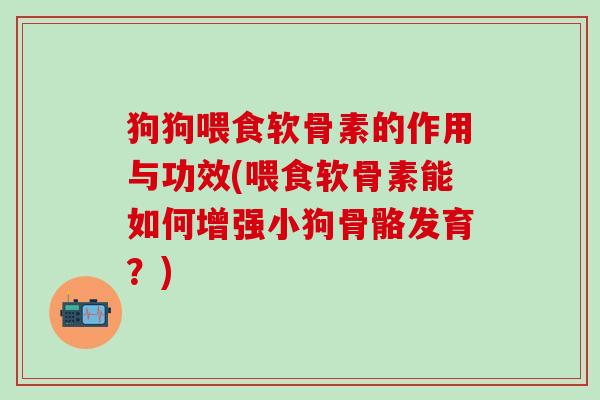 狗狗喂食软骨素的作用与功效(喂食软骨素能如何增强小狗骨骼发育？)