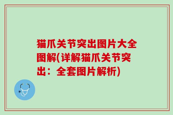 猫爪关节突出图片大全图解(详解猫爪关节突出：全套图片解析)