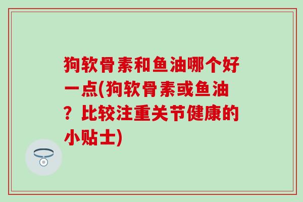 狗软骨素和鱼油哪个好一点(狗软骨素或鱼油？比较注重关节健康的小贴士)