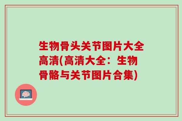 生物骨头关节图片大全高清(高清大全：生物骨骼与关节图片合集)
