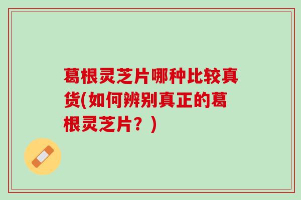 葛根灵芝片哪种比较真货(如何辨别真正的葛根灵芝片？)