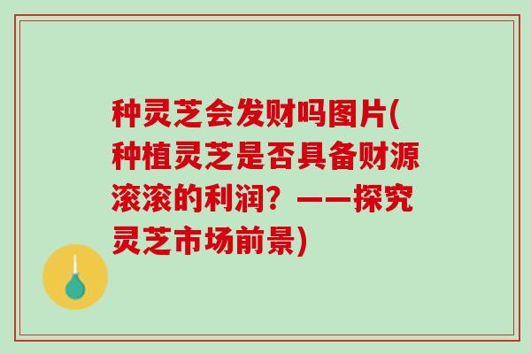 种灵芝会发财吗图片(种植灵芝是否具备财源滚滚的利润？——探究灵芝市场前景)