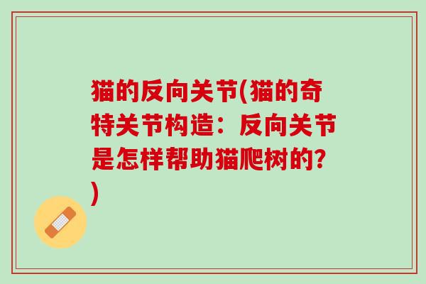 猫的反向关节(猫的奇特关节构造：反向关节是怎样帮助猫爬树的？)