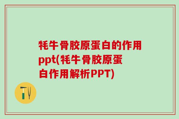 牦牛骨胶原蛋白的作用ppt(牦牛骨胶原蛋白作用解析PPT)