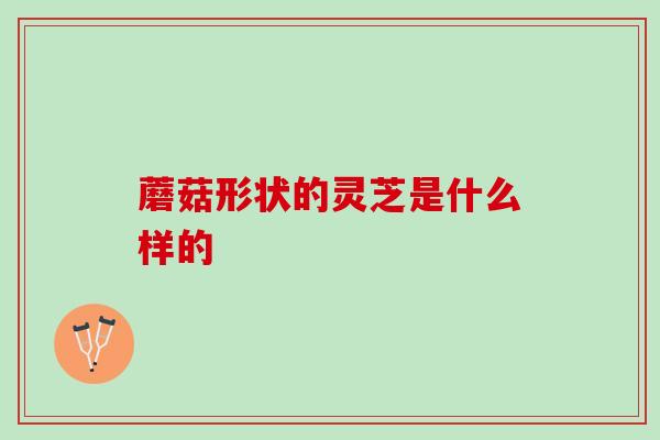 蘑菇形状的灵芝是什么样的