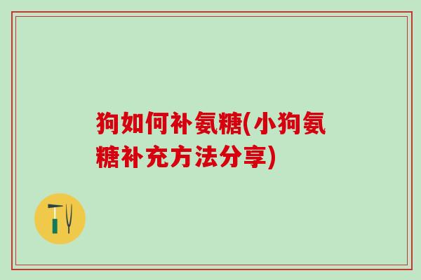 狗如何补氨糖(小狗氨糖补充方法分享)