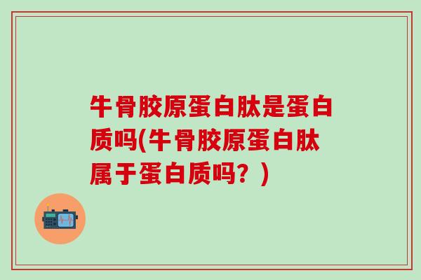 牛骨胶原蛋白肽是蛋白质吗(牛骨胶原蛋白肽属于蛋白质吗？)