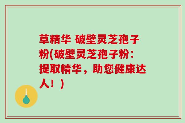 草精华 破壁灵芝孢子粉(破壁灵芝孢子粉：提取精华，助您健康达人！)