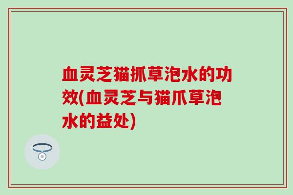 血灵芝猫抓草泡水的功效(血灵芝与猫爪草泡水的益处)
