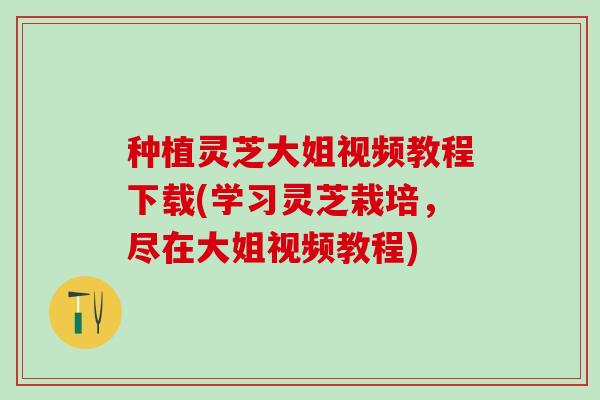 种植灵芝大姐视频教程下载(学习灵芝栽培，尽在大姐视频教程)