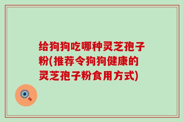 给狗狗吃哪种灵芝孢子粉(推荐令狗狗健康的灵芝孢子粉食用方式)