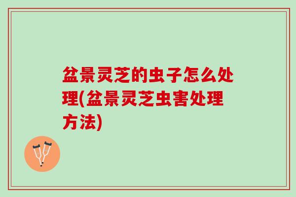 盆景灵芝的虫子怎么处理(盆景灵芝虫害处理方法)