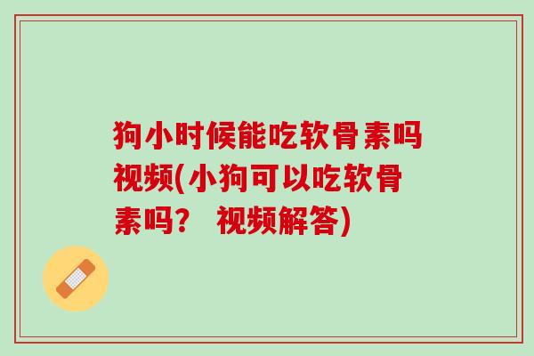 狗小时候能吃软骨素吗视频(小狗可以吃软骨素吗？ 视频解答)