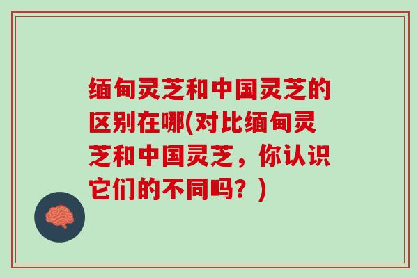 缅甸灵芝和中国灵芝的区别在哪(对比缅甸灵芝和中国灵芝，你认识它们的不同吗？)