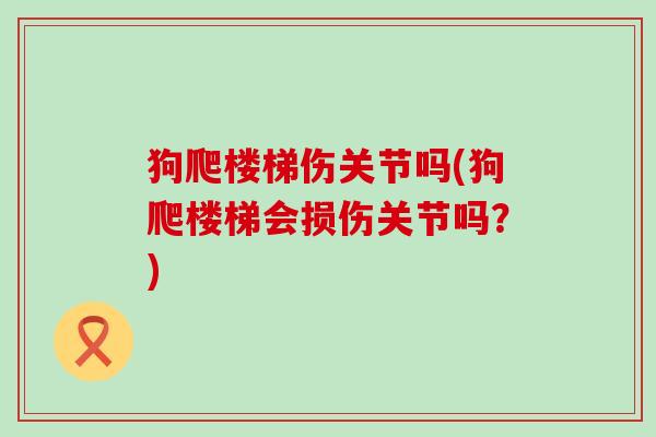 狗爬楼梯伤关节吗(狗爬楼梯会损伤关节吗？)
