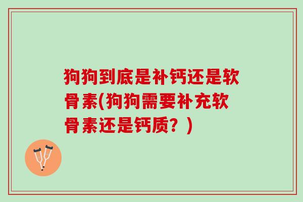 狗狗到底是补钙还是软骨素(狗狗需要补充软骨素还是钙质？)