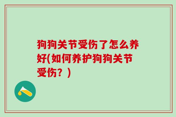 狗狗关节受伤了怎么养好(如何养护狗狗关节受伤？)