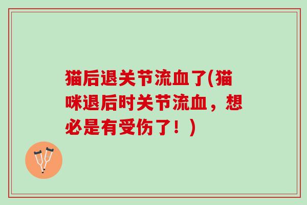 猫后退关节流血了(猫咪退后时关节流血，想必是有受伤了！)
