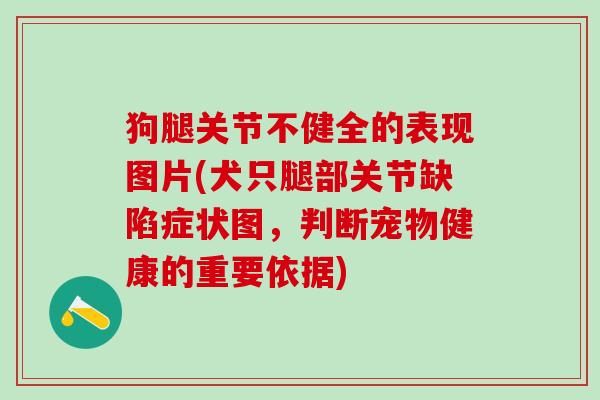 狗腿关节不健全的表现图片(犬只腿部关节缺陷症状图，判断宠物健康的重要依据)