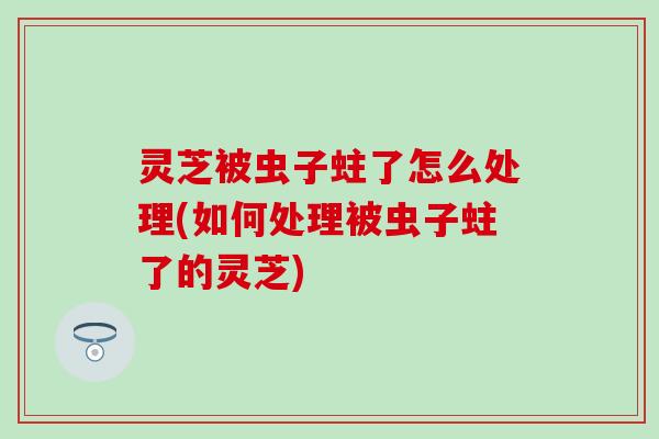 灵芝被虫子蛀了怎么处理(如何处理被虫子蛀了的灵芝)