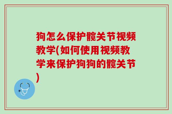 狗怎么保护髋关节视频教学(如何使用视频教学来保护狗狗的髋关节)
