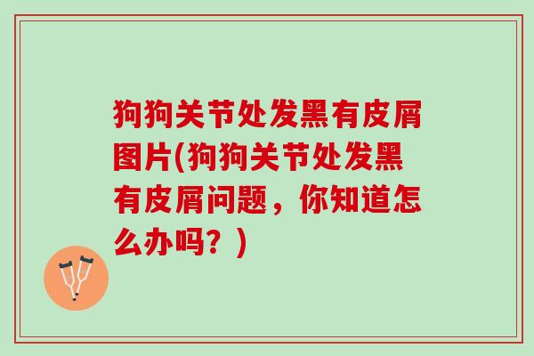 狗狗关节处发黑有皮屑图片(狗狗关节处发黑有皮屑问题,你知道怎么办吗?) 狗狗关节处发黑有皮屑图片(狗狗关节处发黑有皮屑问题,你知道怎么办吗?)
