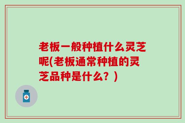 老板一般种植什么灵芝呢(老板通常种植的灵芝品种是什么？)