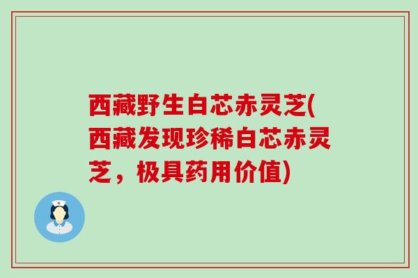 西藏野生白芯赤灵芝(西藏发现珍稀白芯赤灵芝，极具药用价值)