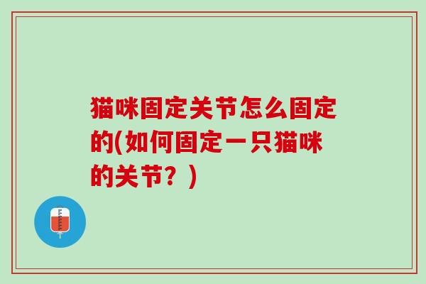 猫咪固定关节怎么固定的(如何固定一只猫咪的关节？)