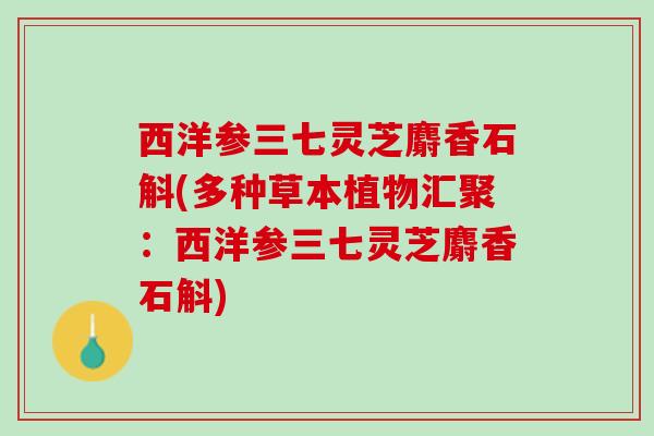 西洋参三七灵芝麝香石斛(多种草本植物汇聚：西洋参三七灵芝麝香石斛)
