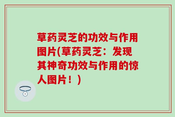 草药灵芝的功效与作用图片(草药灵芝：发现其神奇功效与作用的惊人图片！)