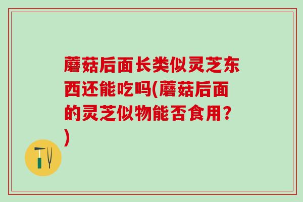 蘑菇后面长类似灵芝东西还能吃吗(蘑菇后面的灵芝似物能否食用？)