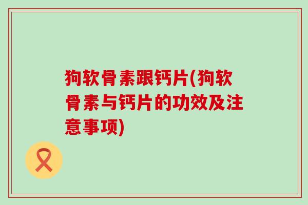 狗软骨素跟钙片(狗软骨素与钙片的功效及注意事项)