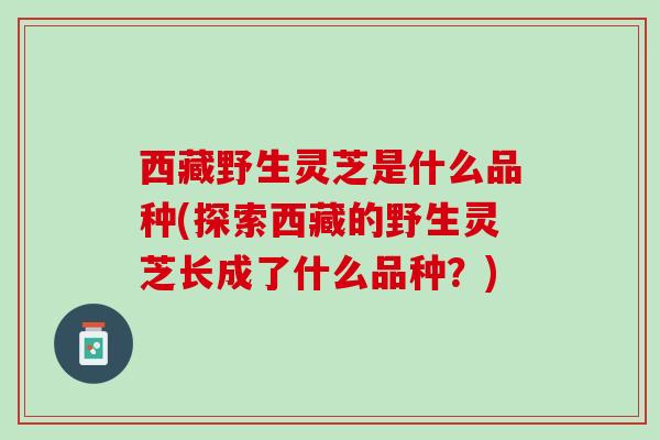 西藏野生灵芝是什么品种(探索西藏的野生灵芝长成了什么品种？)