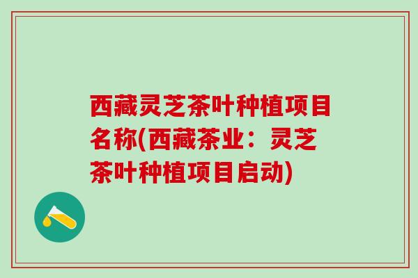 西藏灵芝茶叶种植项目名称(西藏茶业：灵芝茶叶种植项目启动)