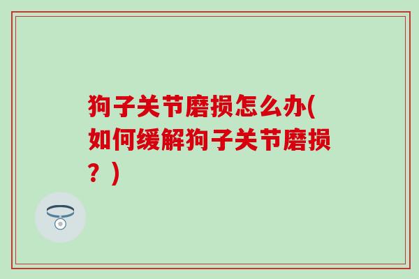 狗子关节磨损怎么办(如何缓解狗子关节磨损？)