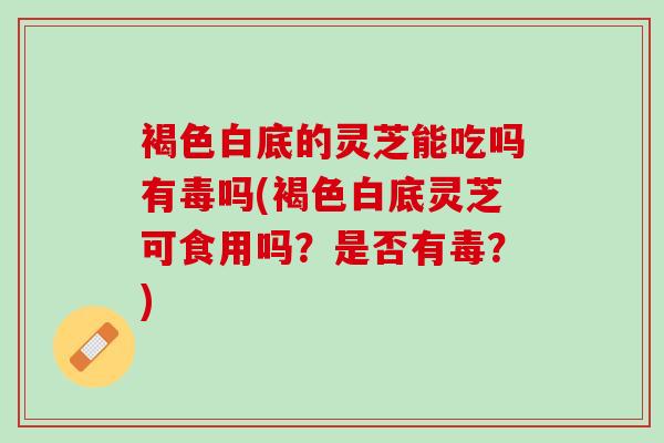 褐色白底的灵芝能吃吗有毒吗(褐色白底灵芝可食用吗？是否有毒？)