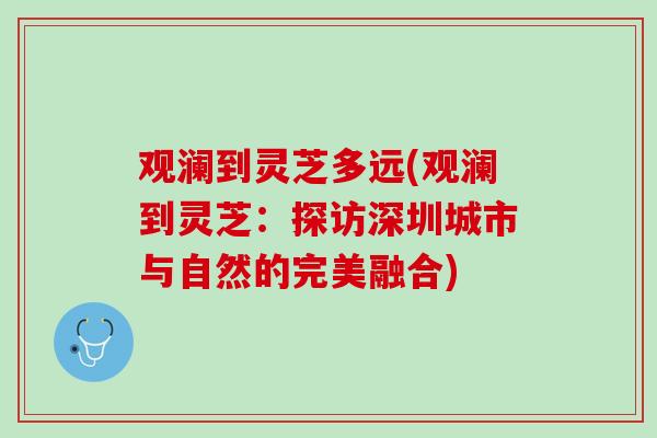 观澜到灵芝多远(观澜到灵芝：探访深圳城市与自然的完美融合)