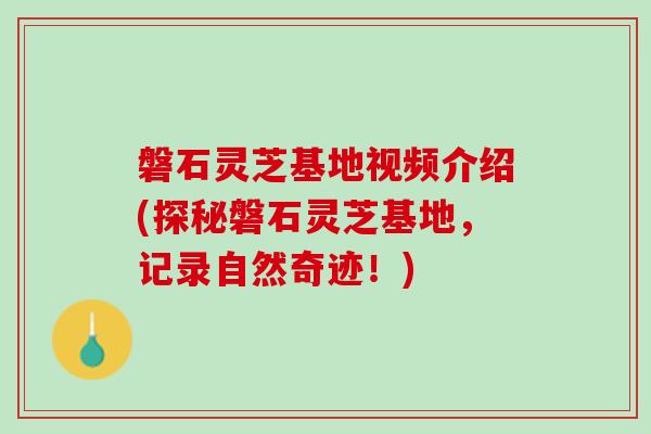 磐石灵芝基地视频介绍(探秘磐石灵芝基地，记录自然奇迹！)