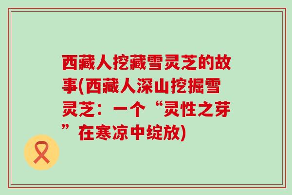 西藏人挖藏雪灵芝的故事(西藏人深山挖掘雪灵芝：一个“灵性之芽”在寒凉中绽放)