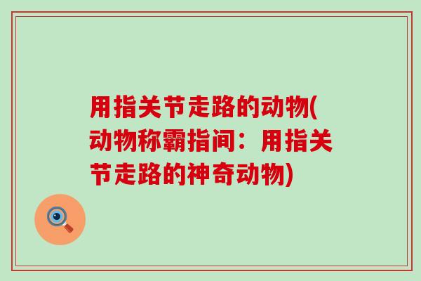 用指关节走路的动物(动物称霸指间：用指关节走路的神奇动物)