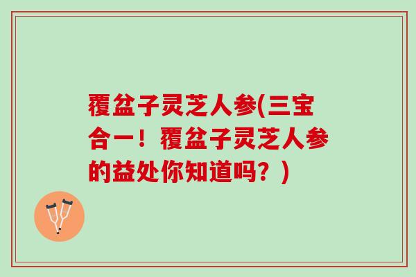 覆盆子灵芝人参(三宝合一！覆盆子灵芝人参的益处你知道吗？)