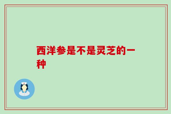 西洋参是不是灵芝的一种