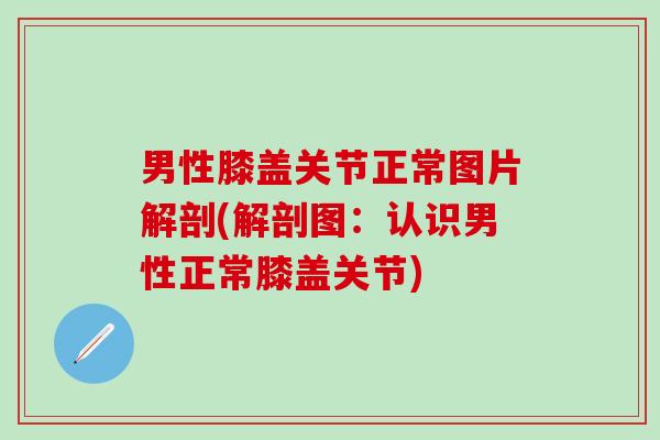 男性膝盖关节正常图片解剖(解剖图：认识男性正常膝盖关节)